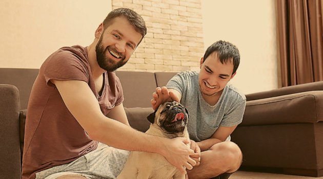 Looking for Great Pet Insurance for Your Furry Friend? Here’s What You Should Be Looking for